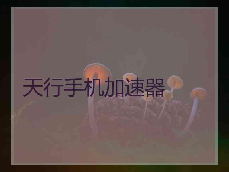天行手机加速器
