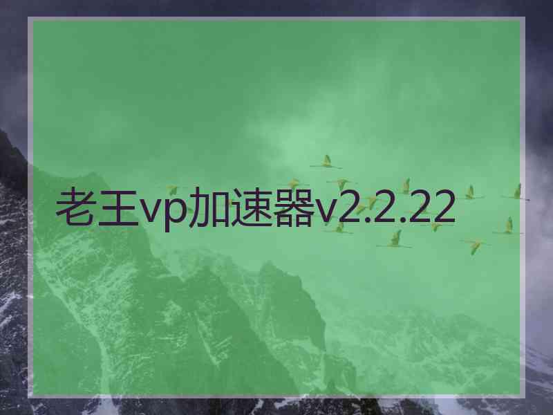 老王vp加速器v2.2.22